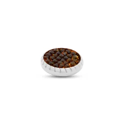 Fashion Melano Jewelry Melano Vivid Glitter Steentje